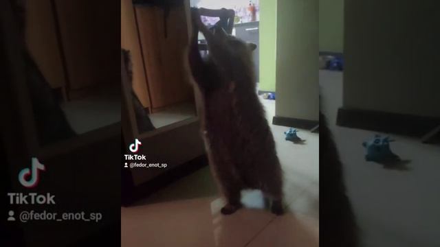 Мини Медвежонок 🥰