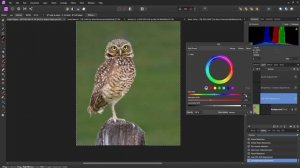 Affinity Photo - Editing Photos for competition (part 1 of 2)