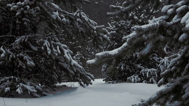 МНЕ ОСТАЛАСЬ ОДНА ЗАБАВА... | Сергей Есенин смотреть онлайн