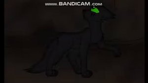 Коты-Воители/Клип- Ready As I'll Ever Be