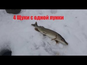 ОФИГЕТЬ!!!! Сколько Щуки с одной лунки! Часть 1.