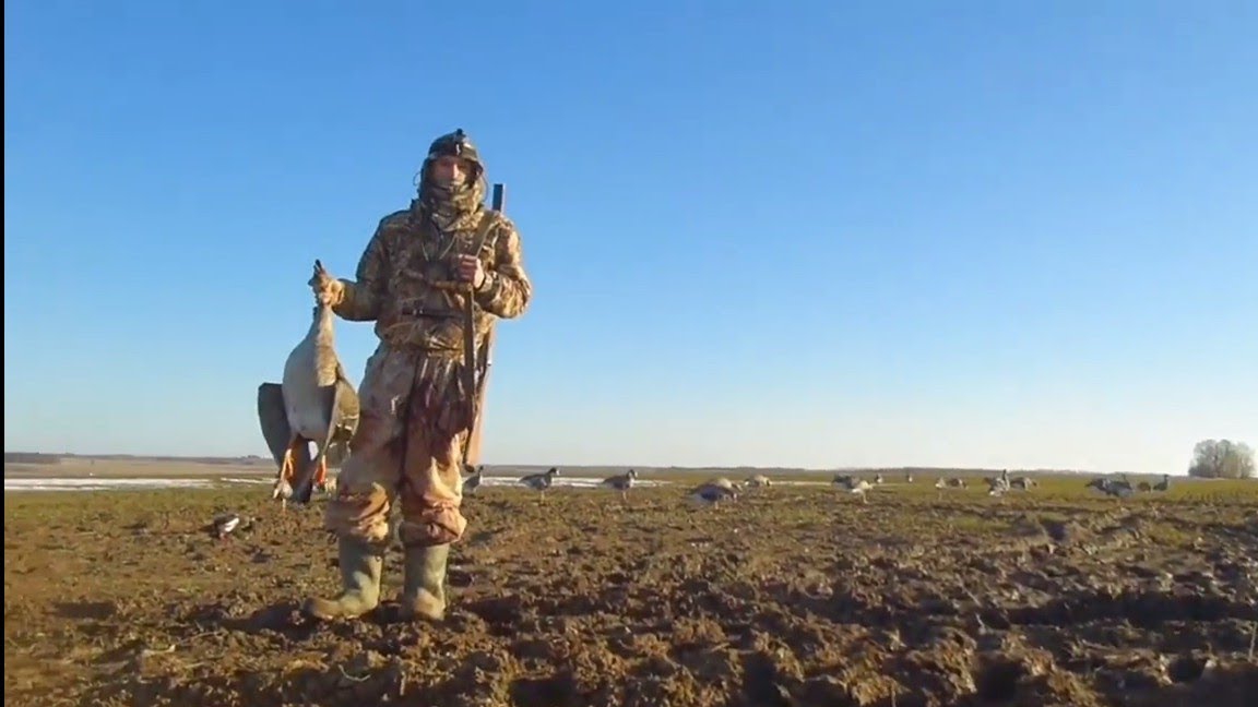 Марий пух летит 😁 .Охота на гуся весной, добыли гумяшей... смотреть онлайн