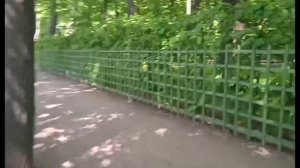 В квартире прекрасно? Санкт-Петербург. 22 выпуск - Летний сад