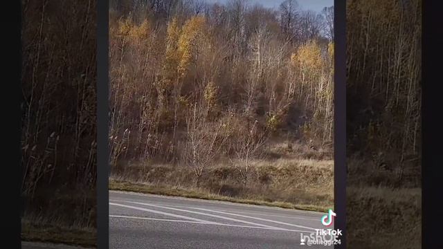 Разное