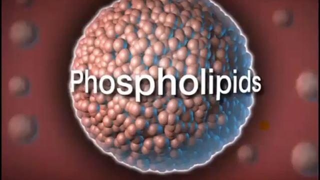 Krill Oil dan Astaxanthin смотреть онлайн