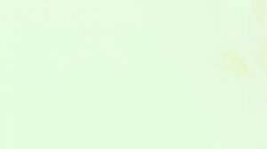 Коты воители  (бич )