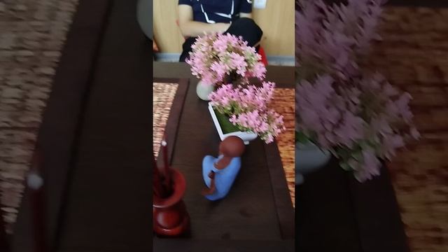 Чайные церемонии в Дао☯️