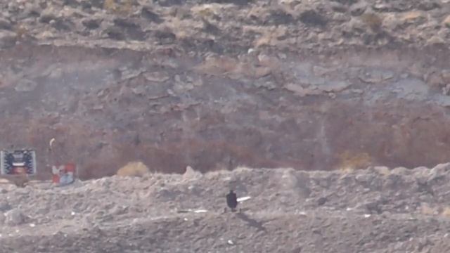 .223 Remington @ 1,200 yards PART #2 смотреть онлайн