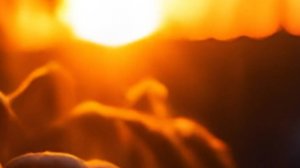 Реальные истории любви из жизни - Ненависть поглощает сердца и разрушает жизни...