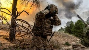 ВС РФ «обложили» и уничтожили группировку ВСУ в курских лесах