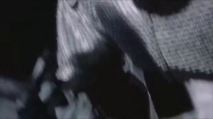 Пикник Инкогнито Эквилибриум