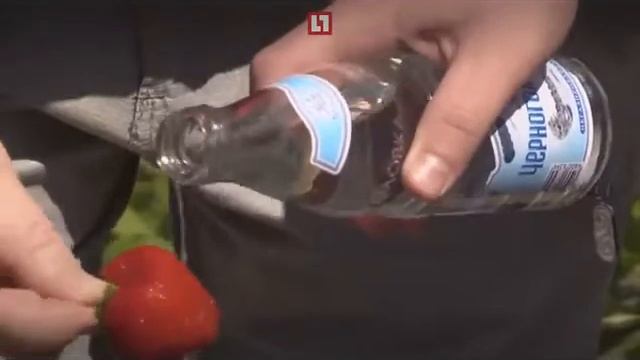 лучшие фразы от лдпр смотреть онлайн