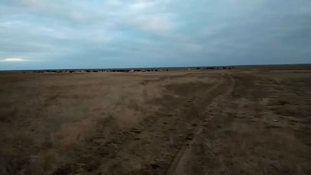 Степь на закате - февраль. смотреть онлайн