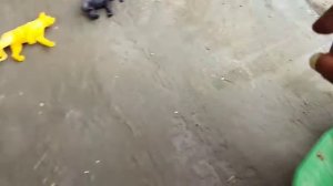 грузовик, леопард, носорог, лев, горилла, черепаха, панда, слон, буйвол, жук