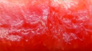 Слабонервным не смотреть !  Черви и паразиты живут в арбузе который мы едим !??