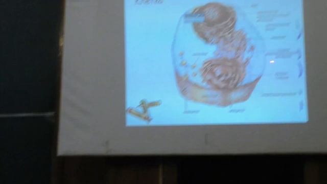 Левашов А. В. - Химические основы биологических процессов - 12. Введение в энзимологию