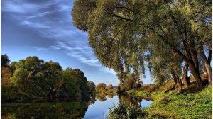 Прости меня за всё...