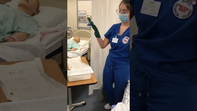 Urinary Catheterization - Straight Catheter смотреть онлайн