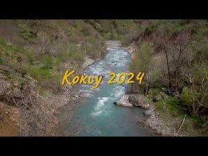 Коксу 2024
