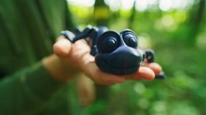 ПРОВЕРЯЕМ СКОЛЬКО СМОГУТ УТАЩИТЬ МУРАВЬИ