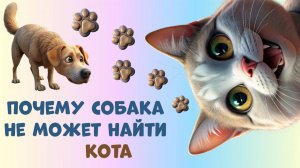 Собака и кот
