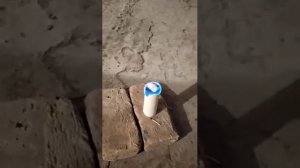 серная дымовая шашка от плесени грибков бактериальных инфекции насекомые и грызунов...