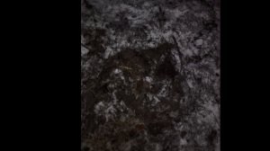 жизнь и смерть. Мазута боевая подруга