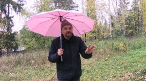 Студия "Дар" игровой фильм "Утка с яблоками"