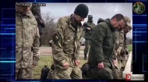 Украинская военная элита наплевала на Зеленского. В плен сдаются  гвардии Зеленского