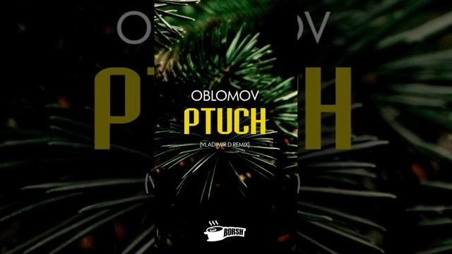 лейбле БОРЩ www.vk.com/borshrecords #oblomov #vladimird #ptuch #птюч  #djсергейобломов #борщ #borsh