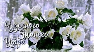 Зимнего морозного утра!