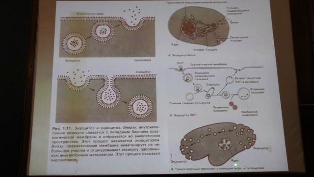 Левашов А. В. - Химические основы биологических процессов - 19. Ферменты в медицине