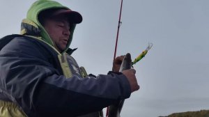 КИГАЧ  ОКТЯБРЬ 2024г.