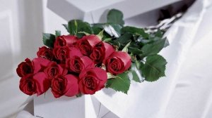 Небо придумало женщину..