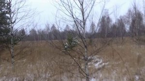 С мелкашкой, все тетерева твои! Да неужели!!!