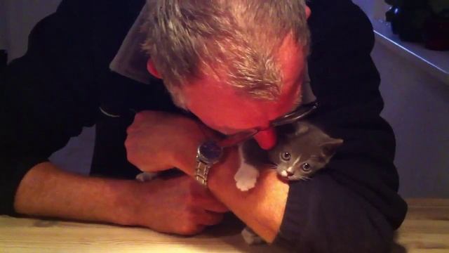 Small Pussy