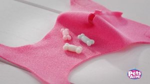 PA-Pooping-Puppies-Girls