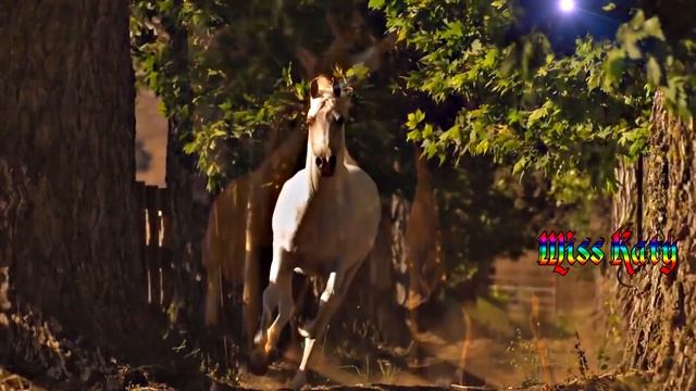 Band ODESSA Три ковбоя