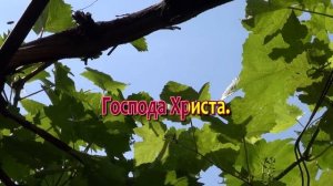 Так уж бывает летней порой