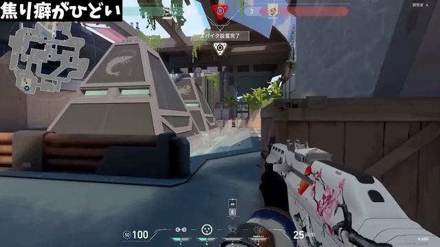 衝撃的なBot撃ち革命！世界一めんどくさがり屋のBot撃ちがカオス過ぎたｗｗ【VALORANT】【クリップ集】