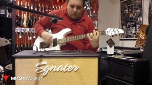 Комбо Egnater Tweaker 112