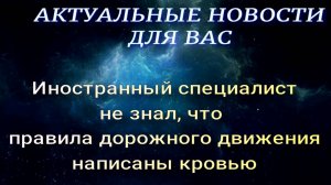 Иностранный специалист не знал, что правила движения написаны кровью