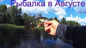 Ловля голавля в Августе 2022