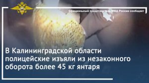 В Калининградской области полицейские изъяли из незаконного оборота более 45 кг янтаря