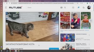 ЗАГИПНОТИЗИРОВАЛ КОТА-- БАРСИК АТАКУЕТ И ИГРАЕТСЯ