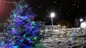 TaunHouse Gnezdo Razdolnaya 104 (winter)