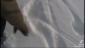 Иследование снежного человека "ЕЙТИ". Его можно найти в лесаз северной Удмуртии