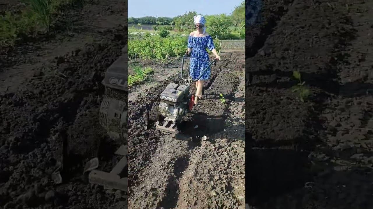 Девушка с мотоблоком)))) А говорят не женское это дело))))