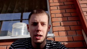 За сколько можно продать рога лося и как их найти. Рассказываю свой опыт