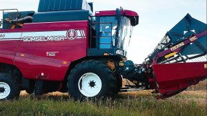 Белорусский комбайн на уборке хлеба!!! Новости из Колхоза!